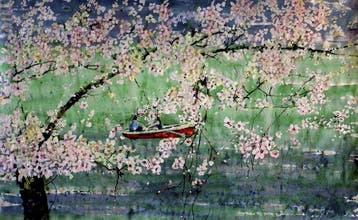 Liana - Unter der Sakurablüte (Sakura) XXL