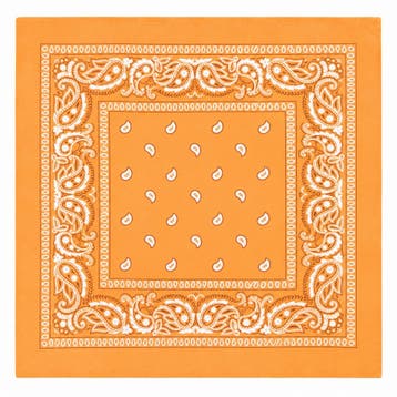 Haarband Bandana Zakdoek 55cm – Paisley Print – Lichtoranje