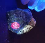 471 g! XL robijn in zoïsite 9,00 cm x 7,10 cm natuurlijke