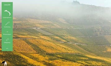 2004 Reinhold Haart, Piesporter Goldtröpchen Riesling -