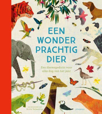 Een Wonderprachtig Dier |  | Nieuw, Verzenden