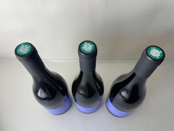 2023 Sylvain Pataille - Bourgondië - 3 Flessen (0.75 liter), Nieuw