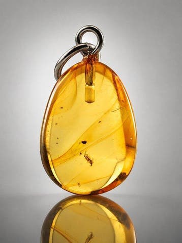 Eoceen Baltische Amber Hanger – Indrukwekkende keverinclusie