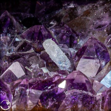 Amethistdruse met calciet – Fascinerend kristalspel in paars