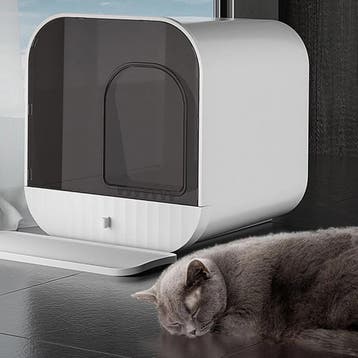 MaxxPet Kattenbak 43x42x40cm - Wit (Katten toebehoren, Dier), Ophalen of Verzenden, Nieuw