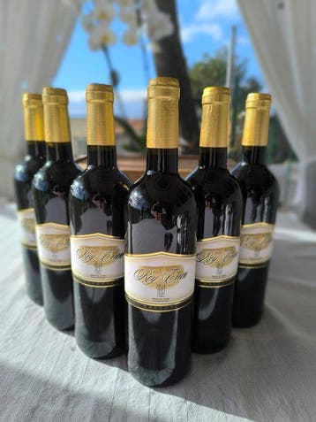2020 Rey Eneo - Ribera del Duero Reserva - 6 Flessen (0.75, Nieuw