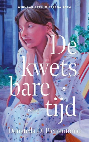 De kwetsbare tijd 9789403135045 Donatella Di Pietrantonio, Verzenden, Zo goed als nieuw, Donatella Di Pietrantonio