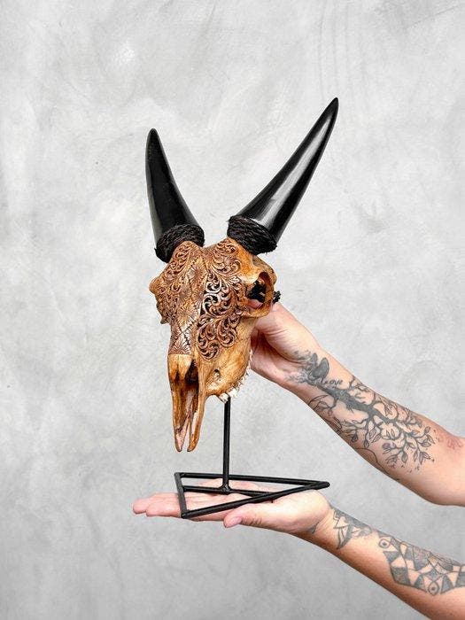 PAS DE PRIX DE RÉSERVE - Crâne de chèvre authentique,, Antiquités & Art, Art | Objets design
