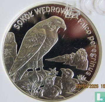 Polen 20 zlotych 2008 (PROOF) Peregrine falcon, Verzenden, Losse munt