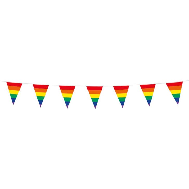 Bunting PE 3m rainbow size flags: 10x 15cm, Hobby en Vrije tijd, Feestartikelen, Nieuw, Verzenden