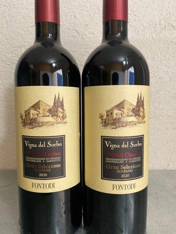 2020 Fontodi, Vigna del Sorbo Gran Selezione - Chianti