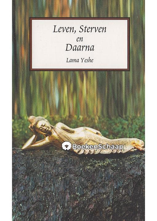 Leven, Sterven en Daarna, Boeken, Esoterie en Spiritualiteit, Gelezen, Verzenden