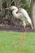 sculptuur, grote levensechte reiger - 80 cm - Metaal