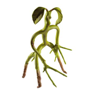 Fantastic Beasts Bendable Figure Bowtruckle 18 cm, Ophalen of Verzenden