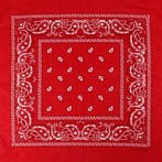 Haarband Bandana Zakdoek – Paisley Print – Rood, Handtassen en Accessoires, Nieuw