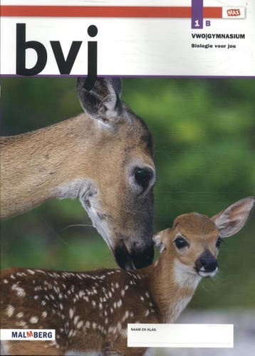 bvj Max / 1 vwo/gymnasium B 9789402068405, Boeken, Verzenden, Gelezen