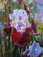 Alexander Nakonechnyi (XX-XXI) - Iris