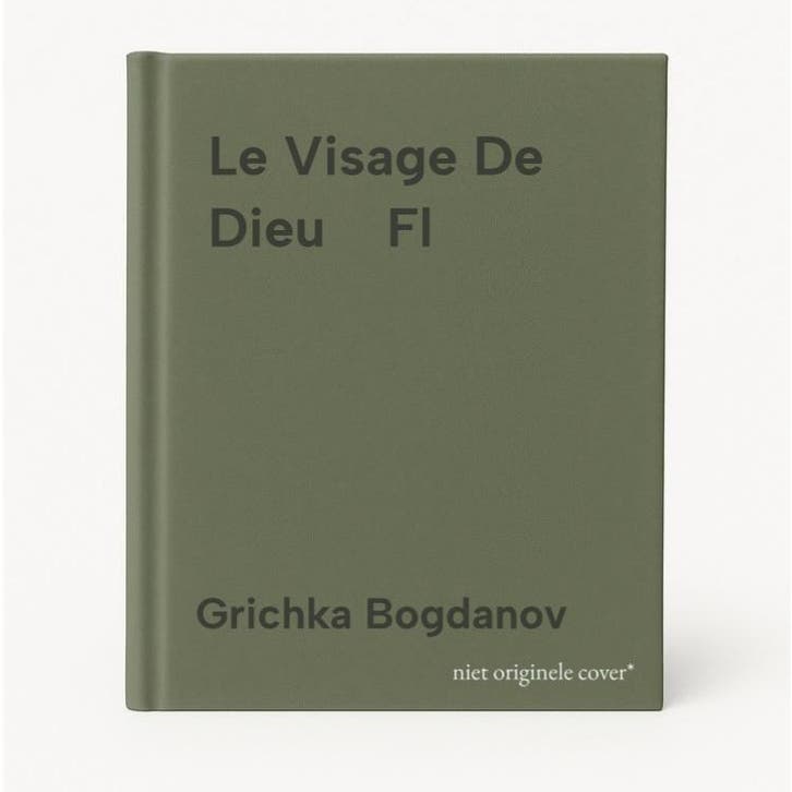 Le Visage De Dieu    Fl 9782246772316 Grichka Bogdanov, Livres, Langue | Anglais, Envoi