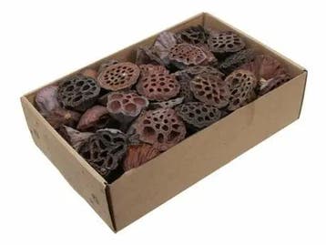 Lotus Mini 2–4 cm ca. 80 stuks, Maison & Meubles