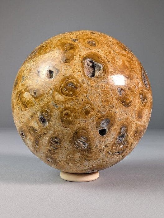 Fossielkoraal Bol - Hoogte: 9.5 cm - Breedte: 9.5 cm- 1255 g, Collections, Minéraux & Fossiles