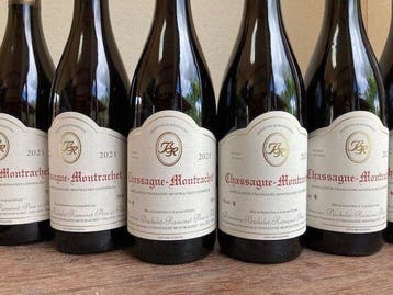 2024 Bachelet-Ramonet - Chassagne-Montrachet - 6 Bouteilles, Verzamelen, Nieuw