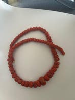 Bloedkoraal Koraal - Corallium rubrum