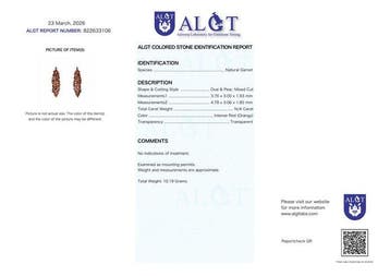 Zonder minimumprijs - Oorbellen Zilver - Garnet -, Nieuw