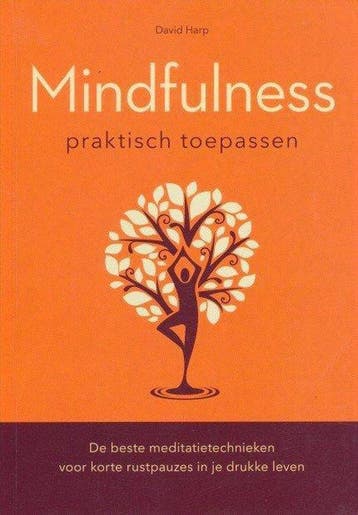 Mindfulness Praktisch Toepassen - Harp, Verzenden