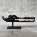 sculptuur, Brown Gharial Crocodile Skull, on custom stand -