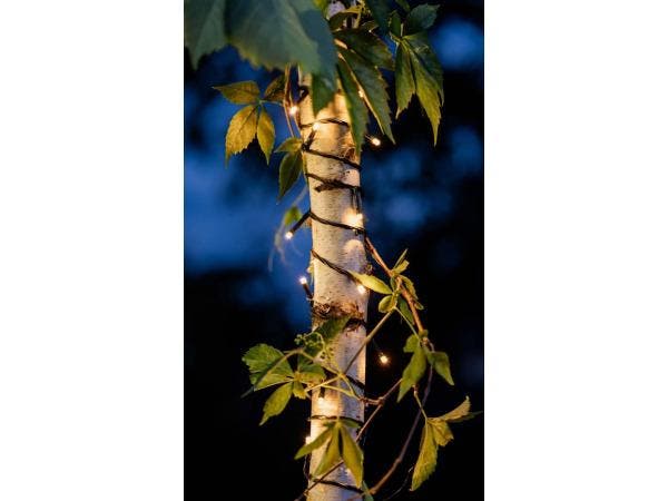 Veiling - Hellum LED lichtketting, 40 LEDs, buiten & binnen, Jardin & Terrasse, Éclairage extérieur