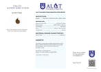 Geen Reserve - ALGT-gecertificeerd - Grote en exclusieve, Verzamelen