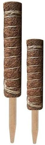 Mosstok Kokosstok planten totems set 50 + 30 cm, Hobby en Vrije tijd, Nieuw