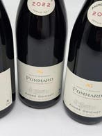 2022 André Goichot - Pommard - 3 Bouteilles (0,75 L), Verzamelen, Wijnen, Nieuw
