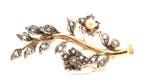 Broche - 19,2 carats Or jaune