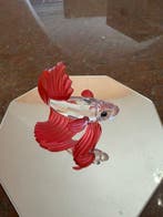 Swarovski - Figurine - Siamese Fighting Fish Red - 660941 -