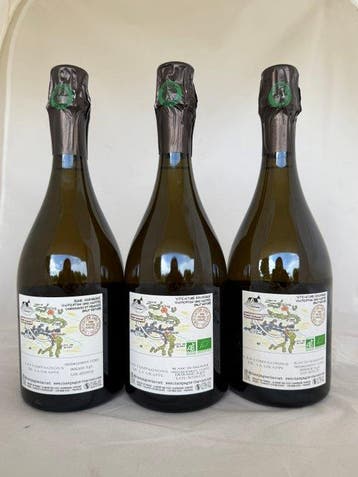 Chavost Blanc de Chardonnay, Blanc De Meunier, Blanc