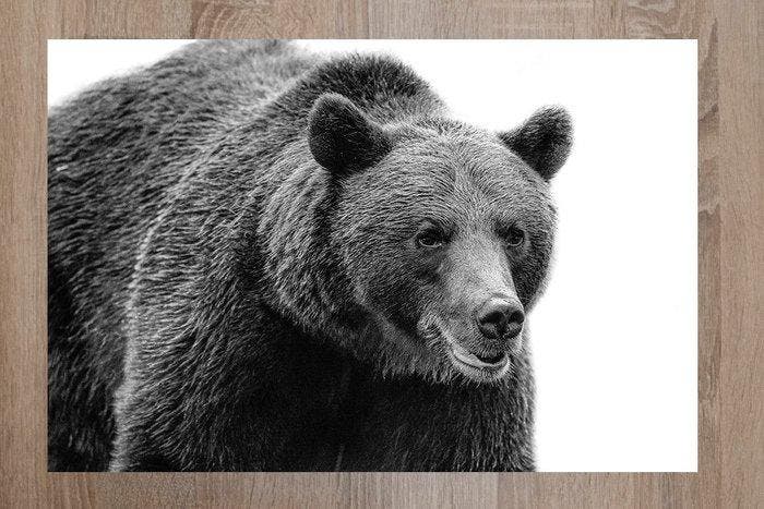 Marco Simoni -  700 Kg, Antiquités & Art, Art | Objets design