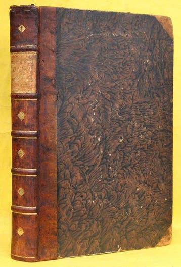 Johann Swammerdamm - Bibel der Natur, worinnen die Insekten