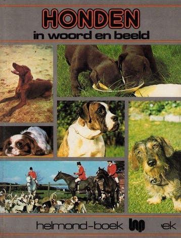 Honden in woord en beeld - Bailey, Verzenden, Nieuw