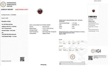 Ring - 18 karaat Witgoud - 11.01ct. tw. Granaat - Diamant -, Nieuw