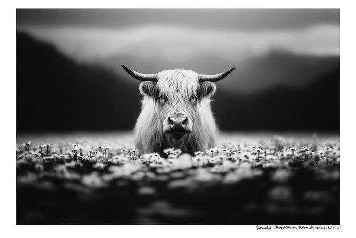 Arnold Mariashin - Animals 782 - XL - No reserve, Antiquités & Art, Art | Objets design