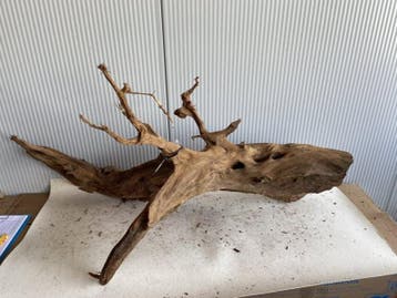 Fine Sinking Wood Selected  FS308 115x70x50cm, Ophalen of Verzenden, Plant(en), Steen of Hout