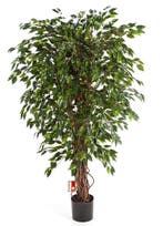 Kunstplant Ficus Hawaiian 180 cm, Maison & Meubles, Plantes d'intérieur, Verzenden