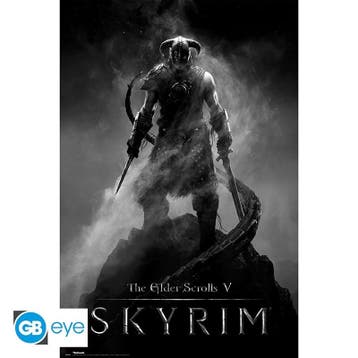 Skyrim Dragonborn Poster 91.5 x 61cm, Ophalen of Verzenden