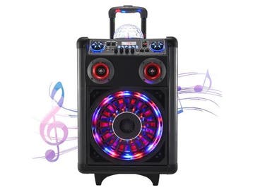 Veiling - SEAAN Karaokemachine met microfoon