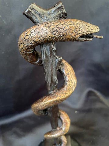 sculptuur, Rod of Asclepius - 23 cm - Gepatineerd brons