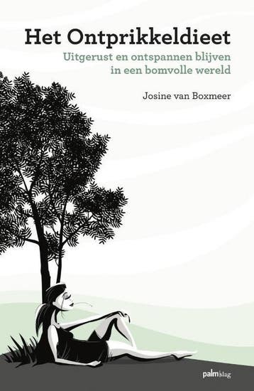 Het ontprikkeldieet 9789493059016 Josine van Boxmeer, Verzenden, Zo goed als nieuw, Josine van Boxmeer