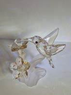 Swarovski - Beeldje - Hummingbird 166184 - Box + Certificate