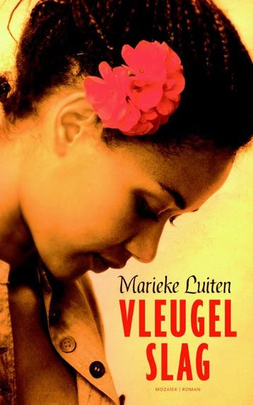 Vleugelslag 9789023994596 Marieke Luiten, Verzenden, Gelezen, Marieke Luiten