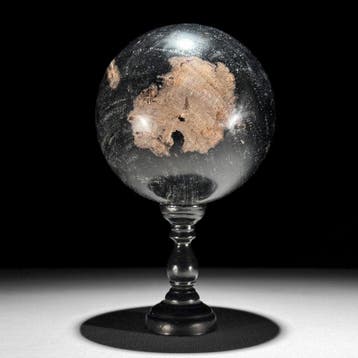 Prachtig paar versteend hout - Gefossiliseerd hout - Spheres
